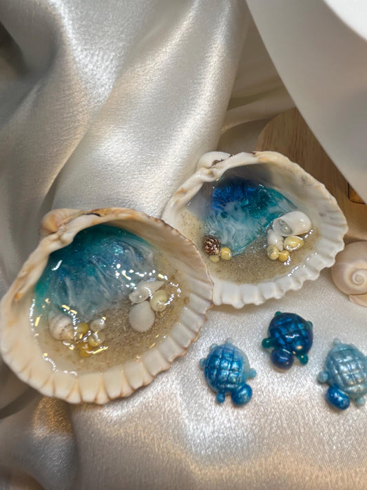 Maldives Real Shell Resin Decoration: Beach Decor