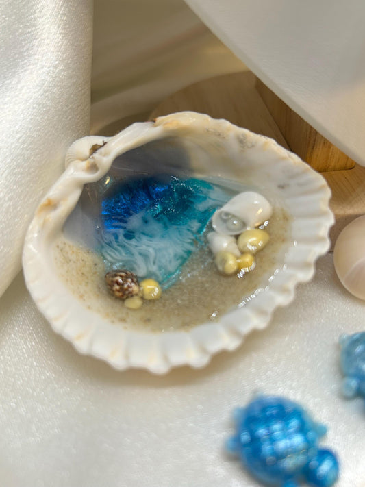 Maldives Real Shell Resin Decoration: Beach Decor